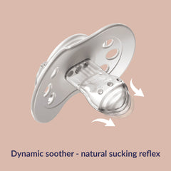 difrax-botanic-succhietto-dinamico-6-18-mesi-succhietto-in-silicone-a-strati-con image 8